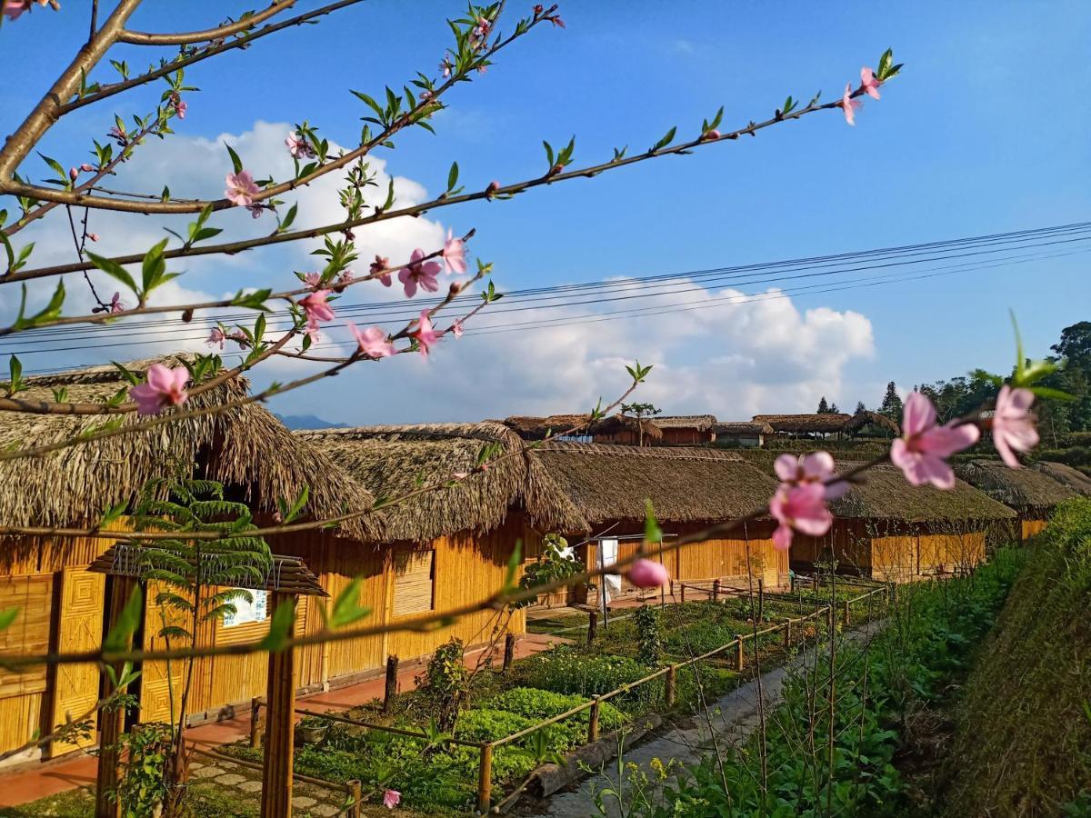 Hoang Su Phi Bungalow Exterior foto